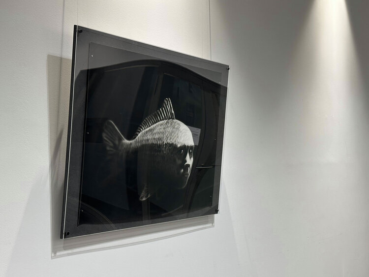 Stefan Wepfer - Neue Ausstellung